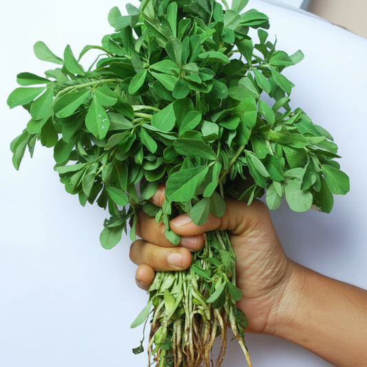 Fenugreek Methi Seeds