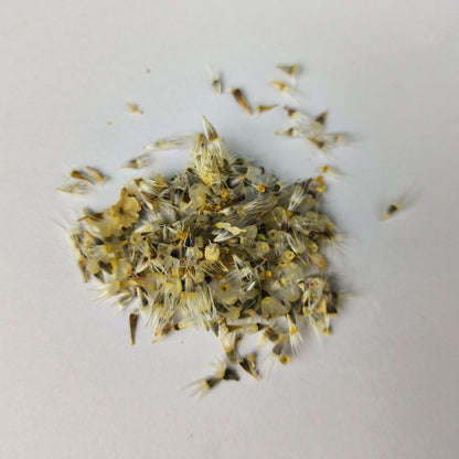 Gaillardia Finest Mix Seeds – F1 Hybrid