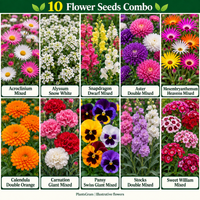 Illustrative collage of 10 PlantsGram flower seed varieties with Aster, Calendula, Carnation, Pansy and Sweet William.