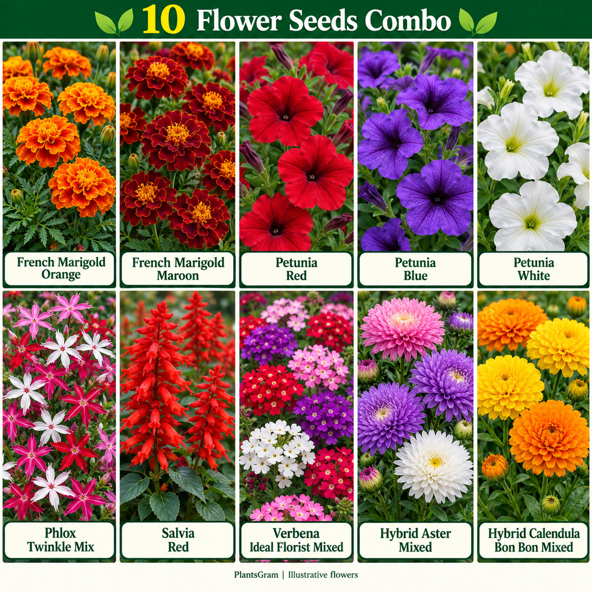 Illustrative collage of the 10-variety PlantsGram seed combo with red, blue and white Petunia, Marigold and Salvia.