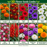 Illustrative collage of the 10-variety PlantsGram seed combo with red, blue and white Petunia, Marigold and Salvia.