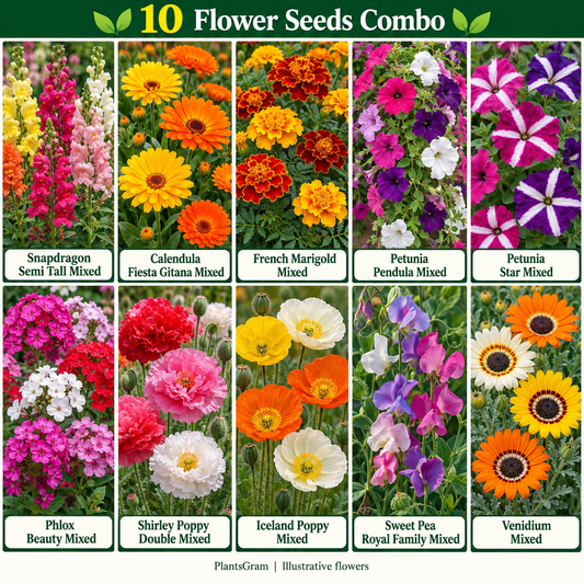 Illustrative collage of the 10-variety PlantsGram flower seed combo with Petunia, Phlox, Sweet Pea and poppies.