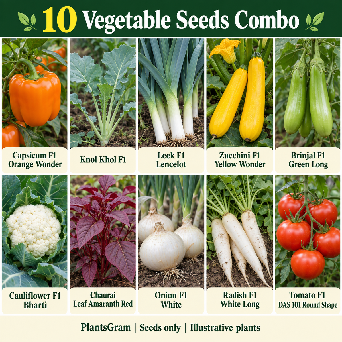 Illustrative vegetable seed combo with orange capsicum, knol khol seedling, leek, yellow zucchini, green brinjal, cauliflower, red amaranth and roots.