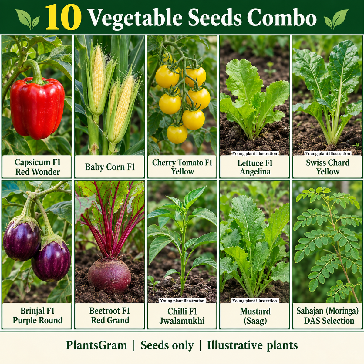 Illustrative 10 vegetable seed varieties with red capsicum, baby corn, yellow cherry tomato, young lettuce and chard, brinjal, beetroot, chilli, mustard and moringa
