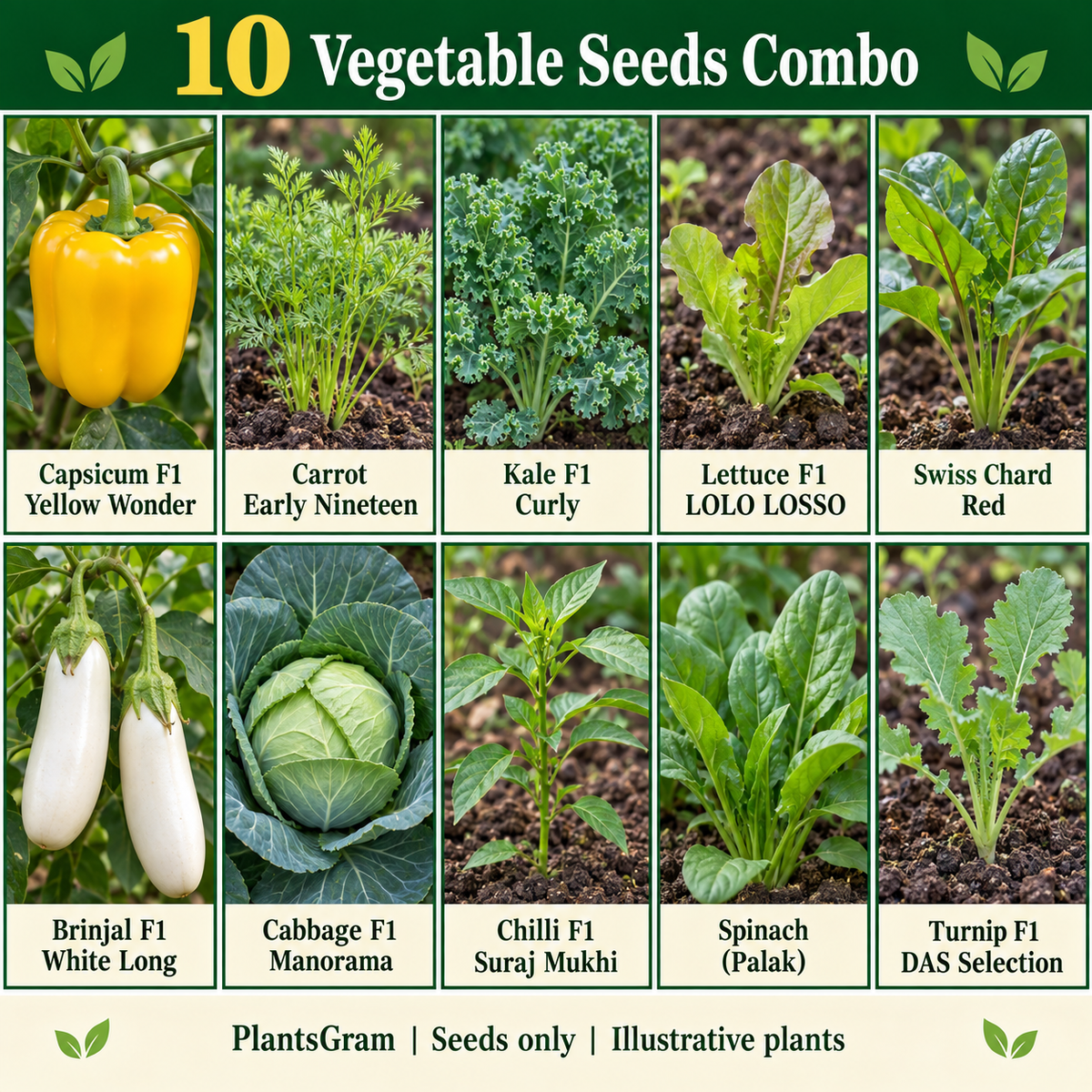 Illustrative 10 vegetable seed varieties with yellow capsicum, young carrot and lettuce, curly kale, chard, white brinjal, cabbage, chilli, spinach and turnip
