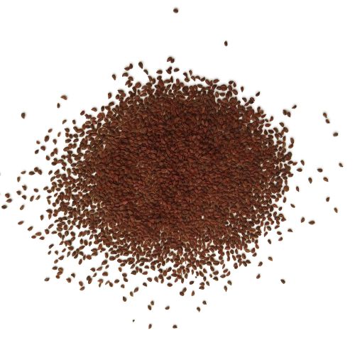 Celery Seeds | Herb Seeds