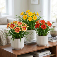 Day Lily plants growing in planters