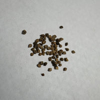 Nolana Blue | Flower Seeds