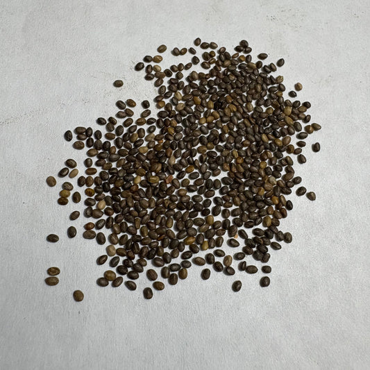 Salvia Farinacea Blue Flower Seeds