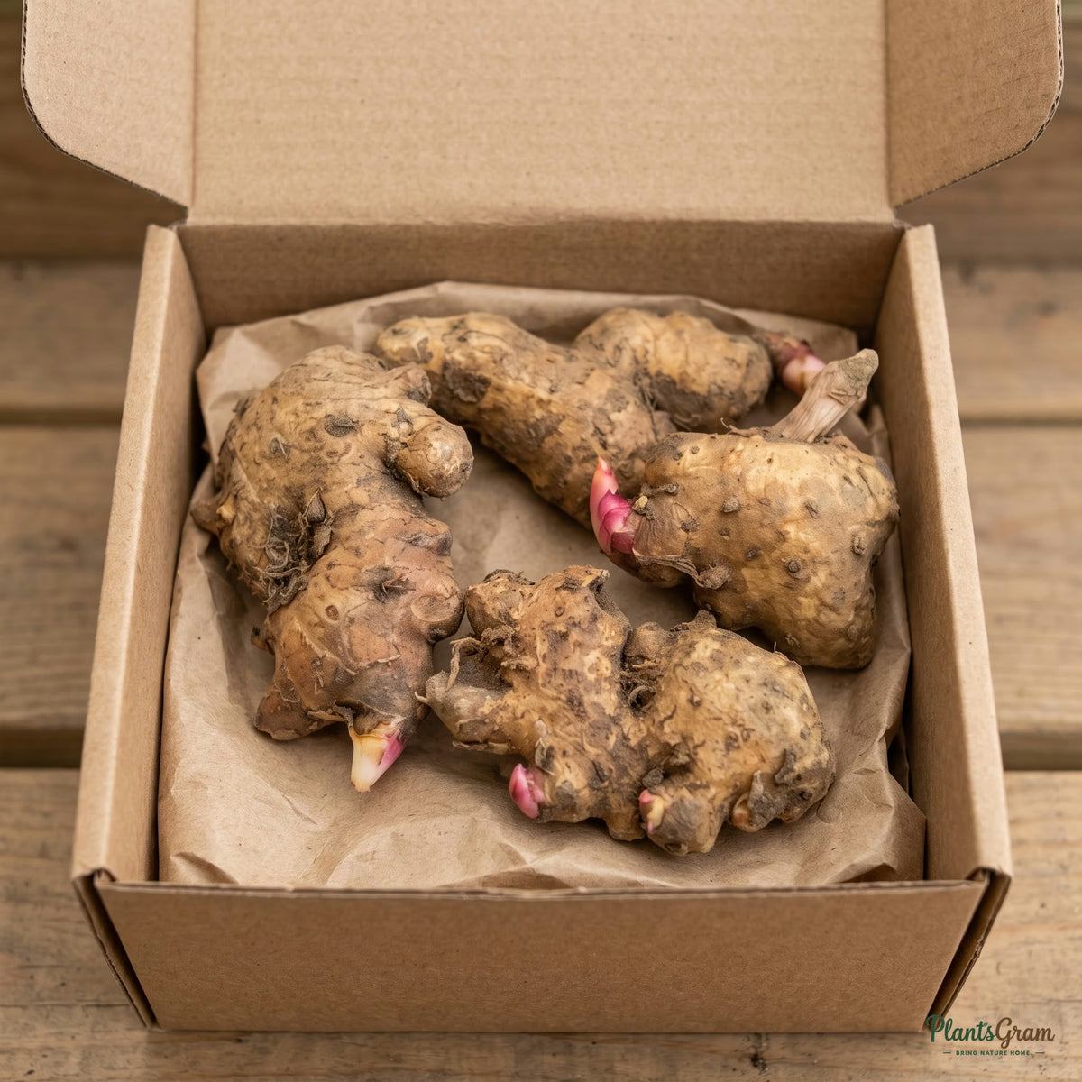 Ginger lily rhizomes in a box