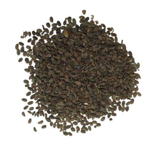 Phlox Mixed Color Flower Seeds