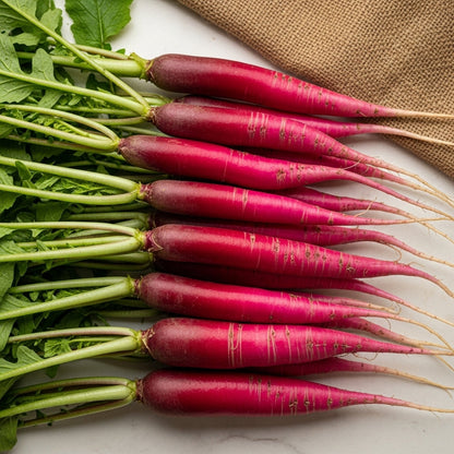 Radish Full Red Seeds