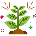 Assured quality plants