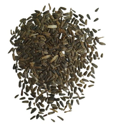 Sunflower Single Miniature Flower Seeds