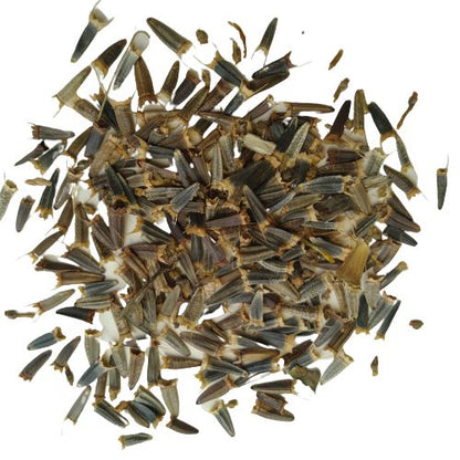 Tithonia Orange Flower Seeds