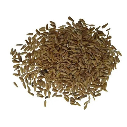 Aster Princess Mixed Flower Seeds