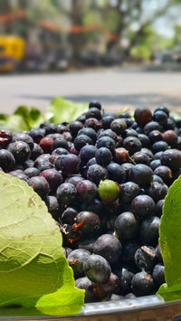 Dher saare kaale-purple jamun fruits close-up, patton ke beech
