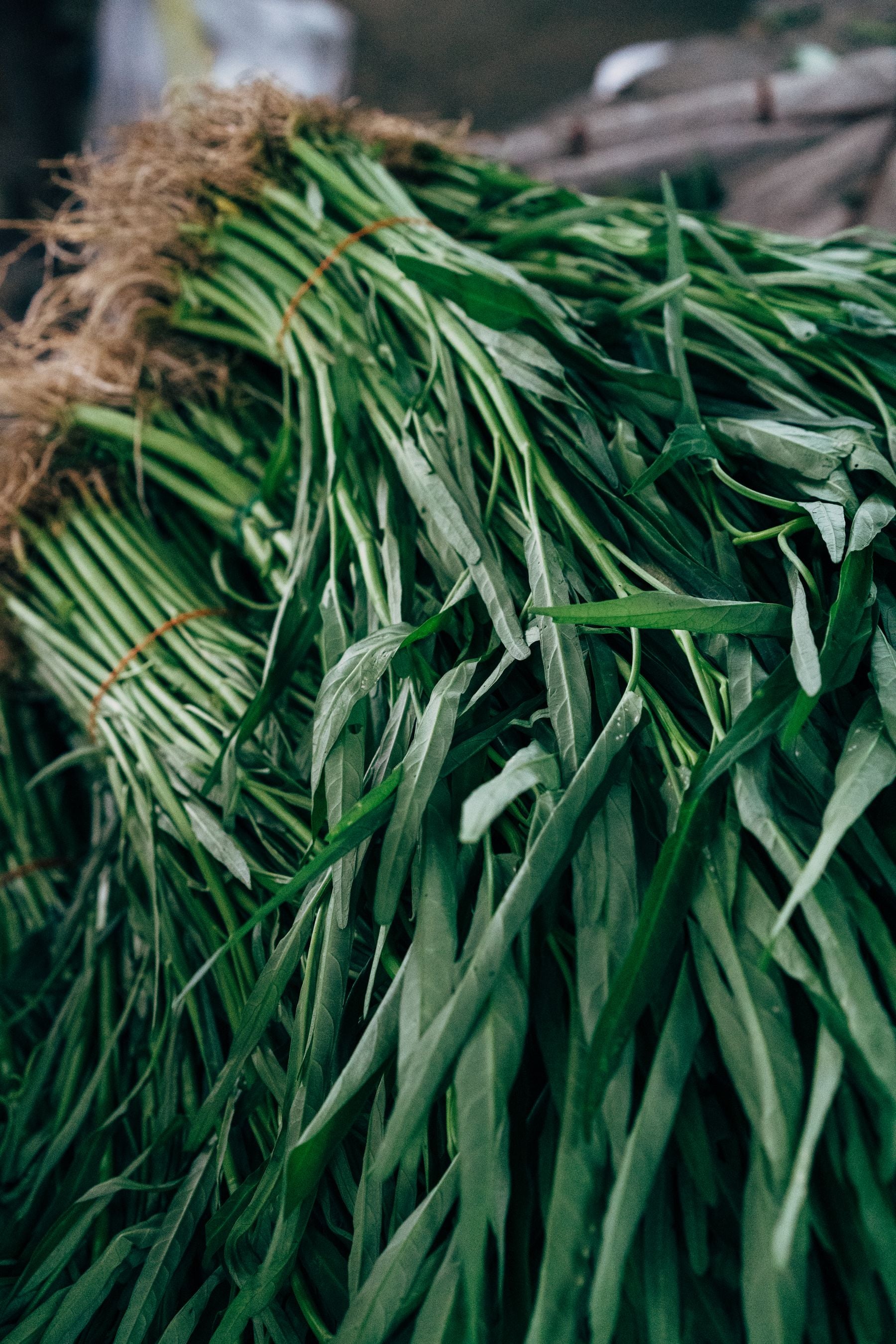 Kalmi saag (water spinach) ke taaza bandled bunches, mandi mein rakhe hue