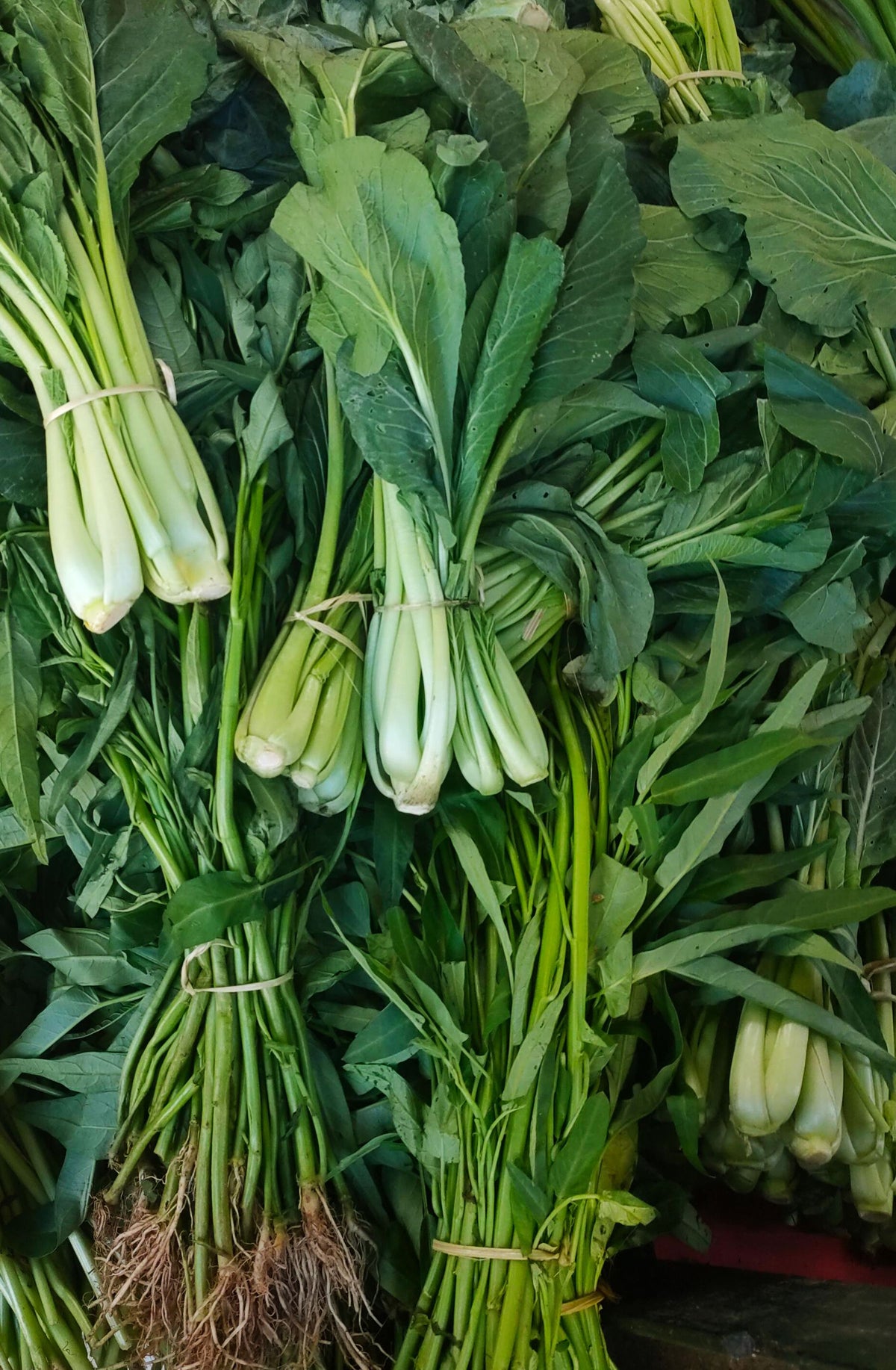 Komatsuna (mustard spinach) ke taaze bunched hare patte, saag jaisa dikhta hai