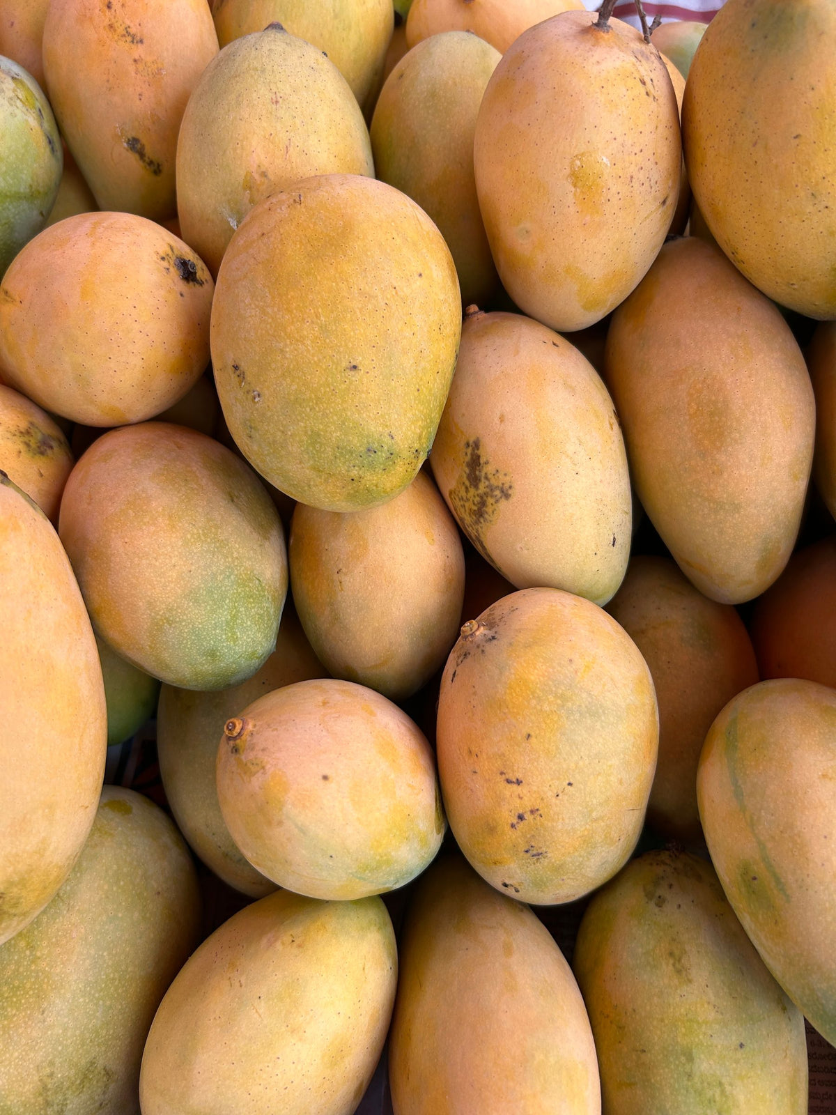 Dher saare pake hue yellow-golden mango phal — generic ripe mango pile, Mallika cultivar-specific match confirm nahi hai