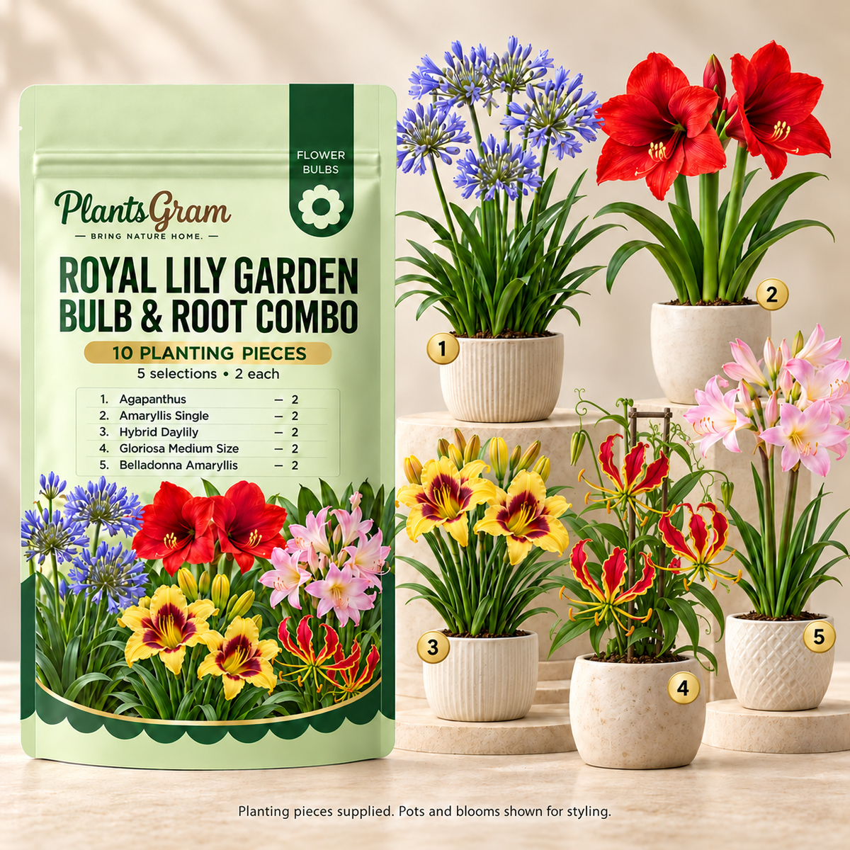 PlantsGram Royal Lily Garden 10-piece combo mockup with Agapanthus, Amaryllis Single, Hybrid Daylily, Gloriosa Medium Size and Belladonna in separate premium pots