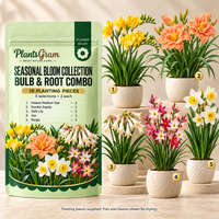 PlantsGram Seasonal Bloom Collection mockup with five illustrative pots of Freesia, Double Daylily, Ifafa Lily, Ixia and Nargis beside the ten-piece pack
