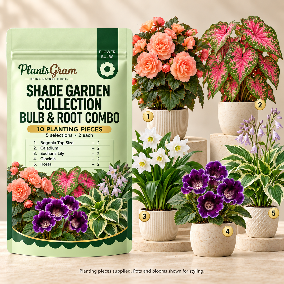 PlantsGram Shade Garden Collection 10-piece mockup with separate pots illustrating Begonia, Caladium, Eucharis Lily, Gloxinia and Hosta