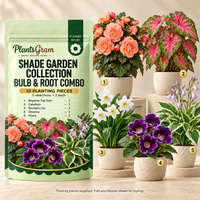 PlantsGram Shade Garden Collection 10-piece mockup with separate pots illustrating Begonia, Caladium, Eucharis Lily, Gloxinia and Hosta